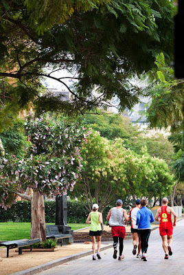 Money Grow on Trees in Australia Seen On  www.coolpicturegallery.net