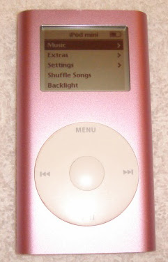 The kit from ebay (iPod not included)