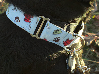 Up close picture of the collar on Rudy's neck; it has paw prints, bones, dog bowls & fire hydrants on it