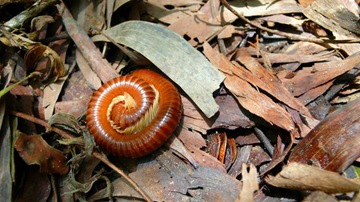 P1060193