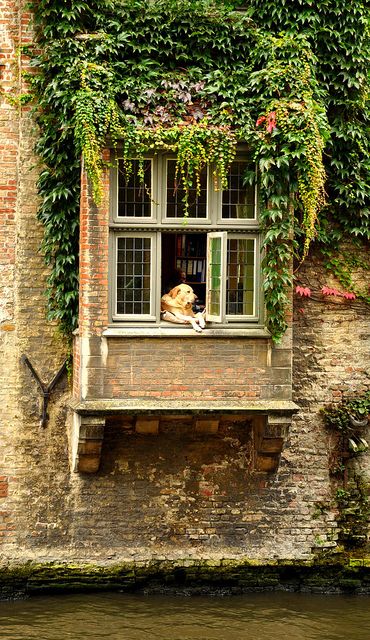 Breathtaking image of Bruges, Belgium with its medieval buildings and canal - found on Hello Lovely Studio