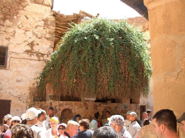 St, Catherine Monastery 