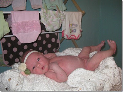 Amelia-Jayne G G 5 033