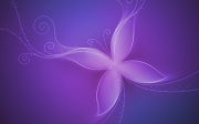 . during medieval times just royalty ended up being able to don purple. (purple butterfly wallpaper )