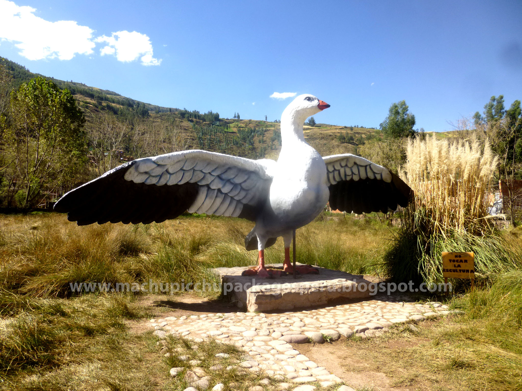 Humedal de Huasao Cusco - Machupicchu Packages
