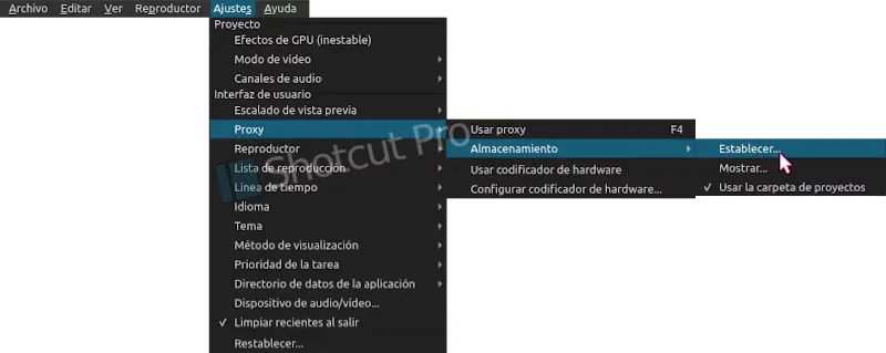 Almacenar los clips proxy de forma ordenada nos permitirá administrar correctamente el espacio de la unidad de almacenamiento a la hora de descartarlos cuando ya no los necesitemos