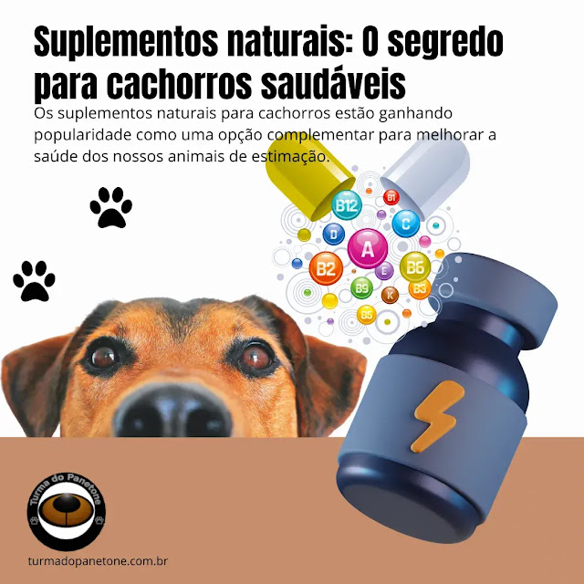 Suplementos naturais: O segredo para cachorros saudáveis