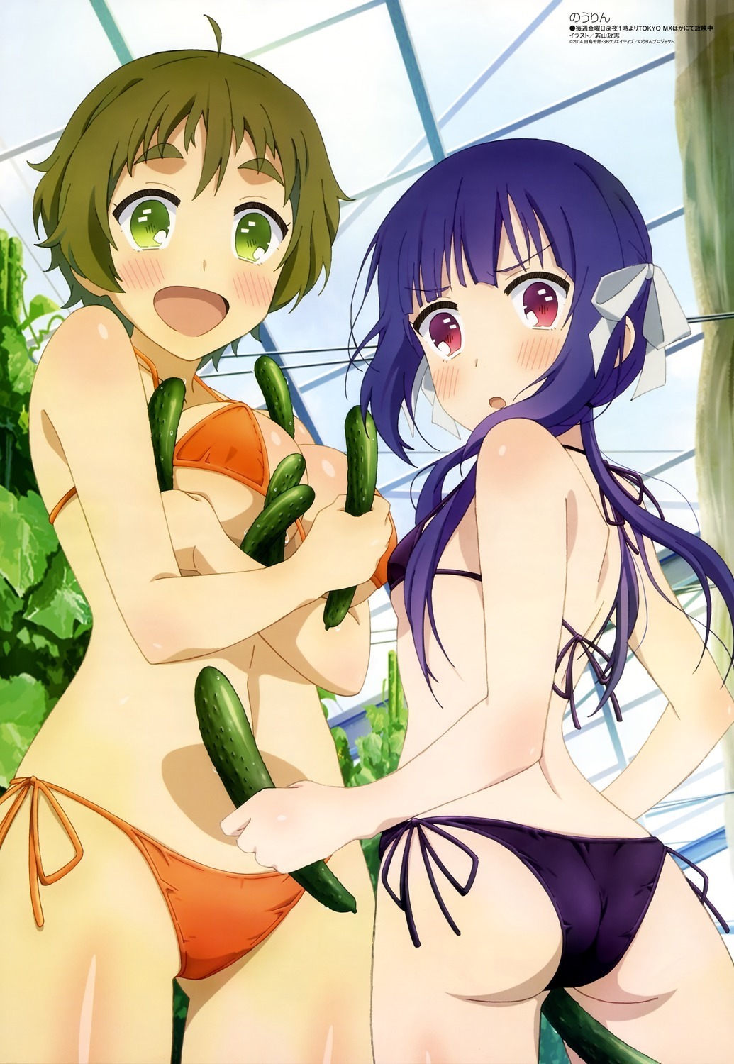 No-Rin_Nourin_Anime_01