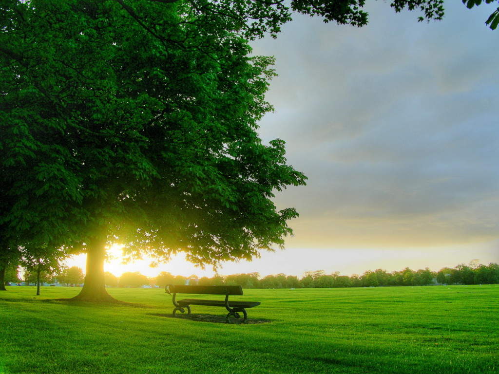 Nature Has A Refreshing Effect Like Caffeine