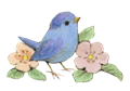 rm_japan-bird_AS
