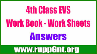 AP 4th  Class EVS Work Book - Work Sheet Answers Download