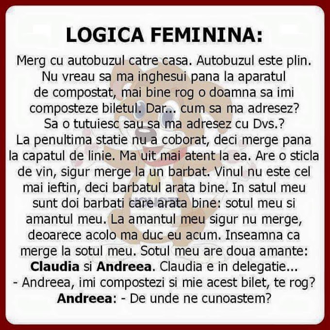 Logica feminina