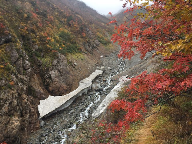 雪渓と紅葉