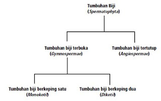 M Y mine KLASIFIKASI MAKHLUK HIDUP