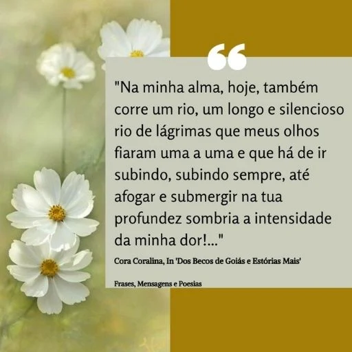 Frase do Livro Dos Becos de Goiás e Estórias