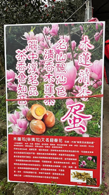 楓樹湖 木蓮花茶葉蛋 清香好吃