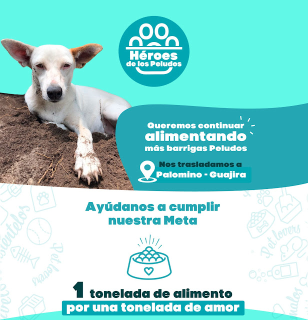 https://www.notasrosas.com/Palpet se convertirá en Palomino - La Guajira, en 'Héroes De Los Peludos'