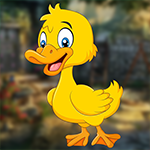 Games4King Funny Duck Escape Game