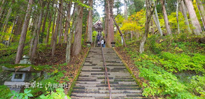 [秋の戸隠神社] 宝光社の階段が好き！