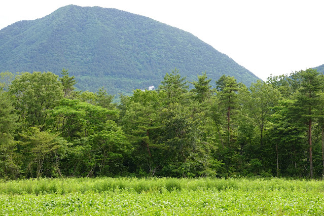 鳥取県西伯郡大山町赤松