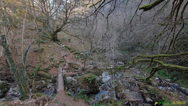 Puente en las Foces del Río Pendón