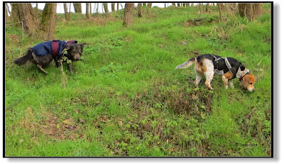 Emma und Lotte auf der Suche nach dem Frühling