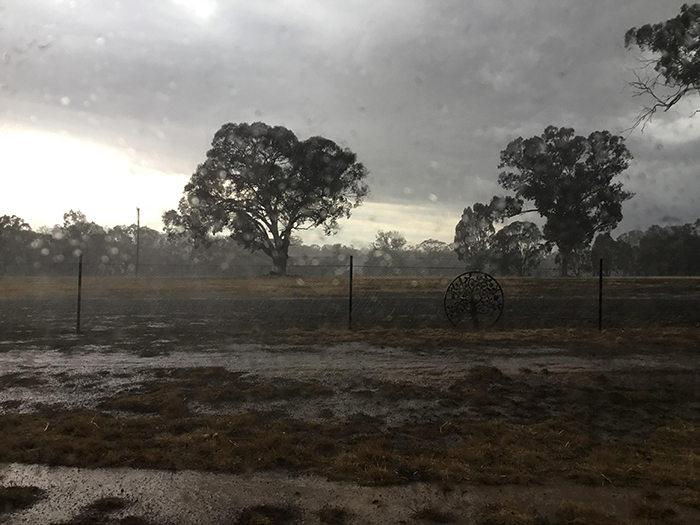 At Last, Rain Poured In Australia Dropping Down The Bushfires From 120 To 88