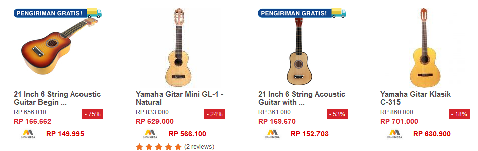 Spesifikasi Gitar Akustik Yang Bagus  hardcase gitar 