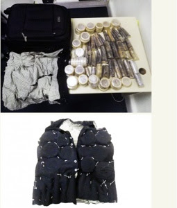 Nigerian arrested  at Hong Kong Airport with 15k ivory in side tailor made vest!