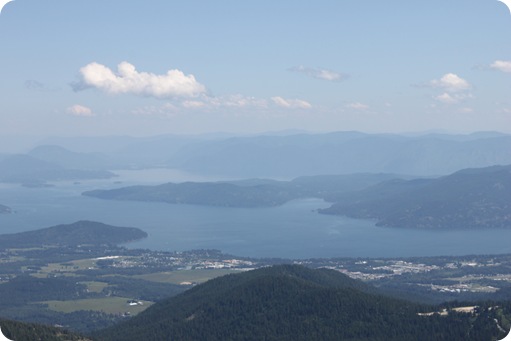 Schweitzer 035