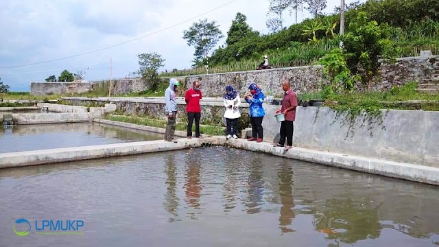 KKP Upayakan Kerek Produktivitas Pembudidaya di Masa Pandemi