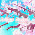 Sakura Series (non Effect Added)