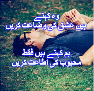 love poetry for wife in urdu sms