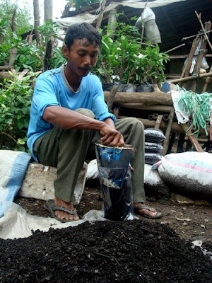 Organic Fertilizer for for ornamental plants