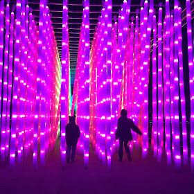 Our autistic boys enjoying the light tunnels