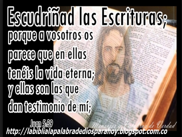 Santa biblia dios habla hoy