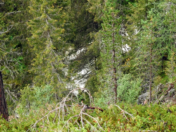 hyttetur vassfaret Hansespranget Vassfarstien