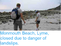 https://sciencythoughts.blogspot.com/2012/08/monmouth-beach-lyme-closed-due-to.html