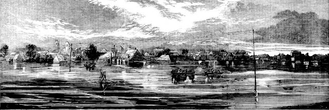 West Maitland from Elgin-Street June 1867