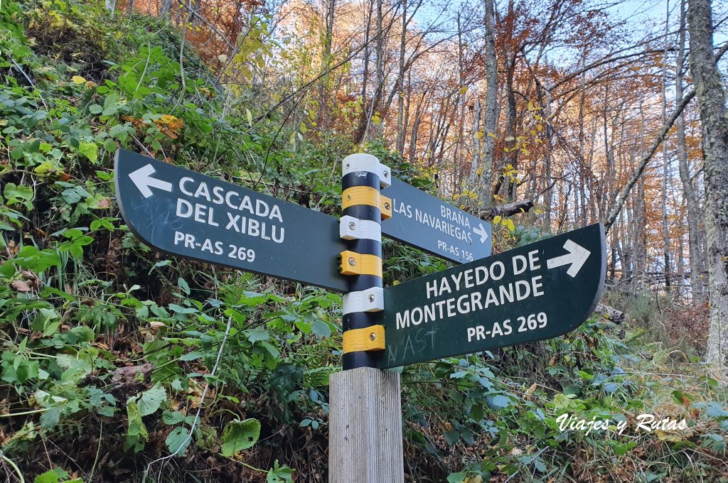 Cartel de bifurcación de Ruta al Hayedo de Montegrande y la Cascada del Xiblu