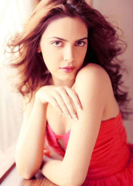 Shazahn Padamsee Hot-wallpapers-shazahn-padamsee-pictures-bollywood-girls-images-gallery,