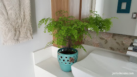 plantas-para-decoração-lavabo