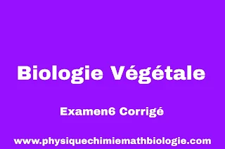 Examen6 Corrigé Biologie Végétale PDF (L1-S2-SNV)