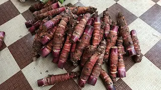Free photo of goa fruits and vegitable