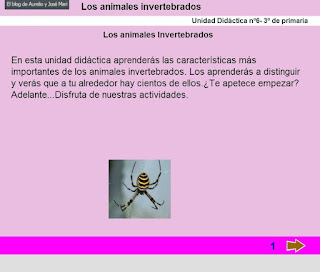  Animales invertebrados