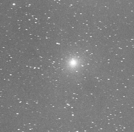 Comet 46P/Wirtanen in Photoshop black & white of 300mm, 200 second, DSLR exposure (Source: Palmia Observato