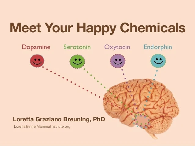 4 Hormon Yang Menentukan Kebahagiaan Seseorang