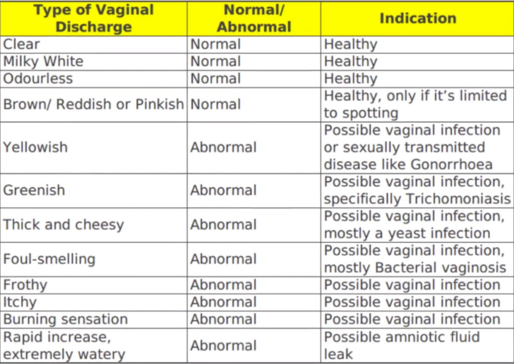 Vaginal Discharge Meaning