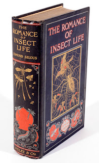 The Romance of Insect Life