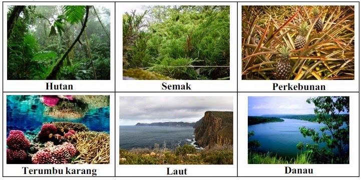 BIOLOGI GONZAGA: SOAL KEANEKA RAGAMAN HAYATI KELAS X